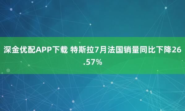 深金优配APP下载 特斯拉7月法国销量同比下降26.57%